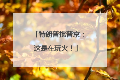 特朗普批普京：这是在玩火！