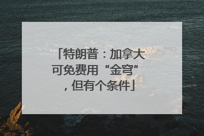 特朗普：加拿大可免费用“金穹”，但有个条件