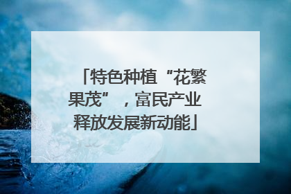 特色种植“花繁果茂”，富民产业释放发展新动能