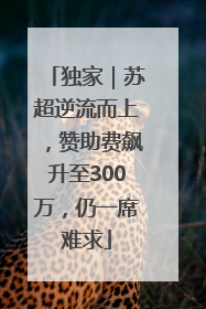 独家｜苏超逆流而上，赞助费飙升至300万，仍一席难求