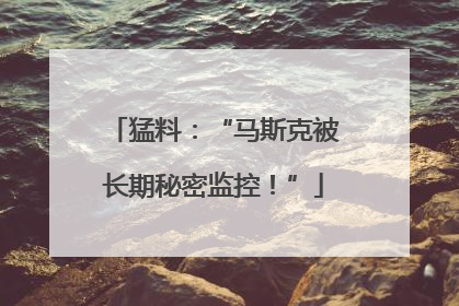 猛料：“马斯克被长期秘密监控！”