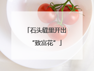 石头缝里开出“致富花”