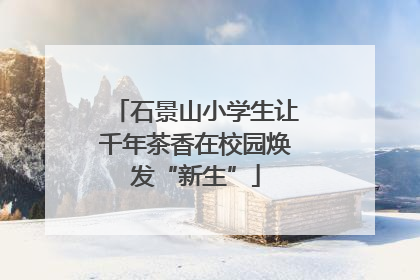 石景山小学生让千年茶香在校园焕发“新生”