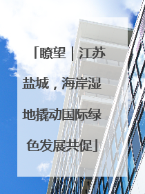瞭望｜江苏盐城，海岸湿地撬动国际绿色发展共促
