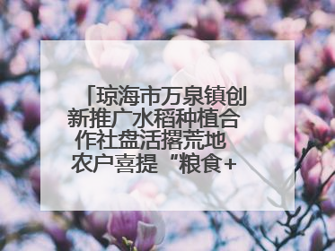 琼海市万泉镇创新推广水稻种植合作社盘活撂荒地 农户喜提“粮食+钞票”分红
