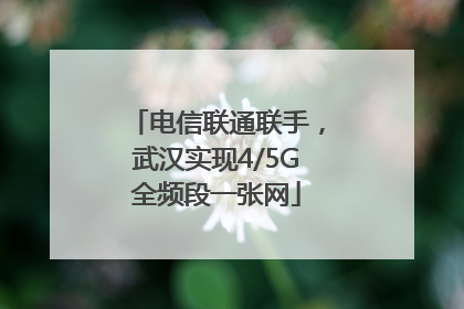 电信联通联手，武汉实现4/5G全频段一张网