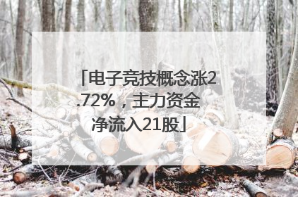 电子竞技概念涨2.72%，主力资金净流入21股