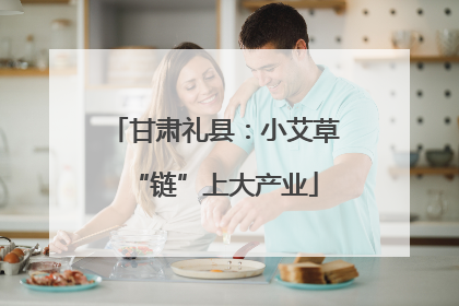 甘肃礼县：小艾草“链”上大产业