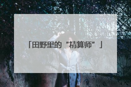 田野里的“精算师”