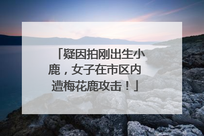 疑因拍刚出生小鹿，女子在市区内遭梅花鹿攻击！