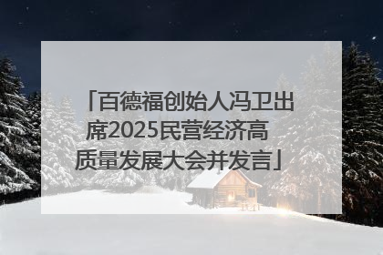 百德福创始人冯卫出席2025民营经济高质量发展大会并发言
