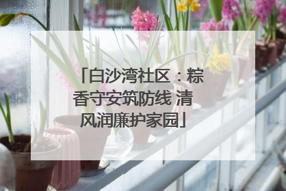 白沙湾社区：粽香守安筑防线 清风润廉护家园