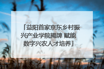 益阳首家京东乡村振兴产业学院揭牌 赋能数字兴农人才培养