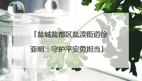 盐城盐都区盐渎街道徐亚明：守护平安勇担当
