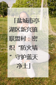 盐城市亭湖区新兴镇联盟村：密织“防火墙”守护蓝天净土