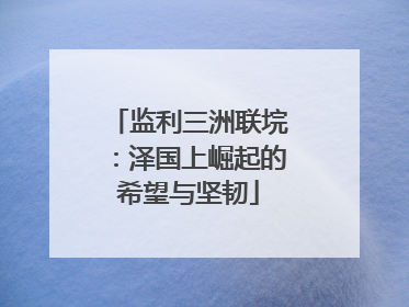 监利三洲联垸：泽国上崛起的希望与坚韧