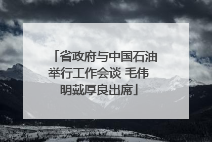 省政府与中国石油举行工作会谈 毛伟明戴厚良出席