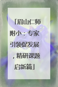 眉山仁师附小：专家引领促发展，精研课题启新篇