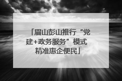 眉山彭山推行“党建+政务服务”模式 精准惠企便民