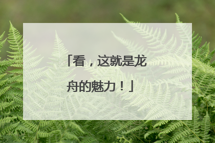 看，这就是龙舟的魅力！