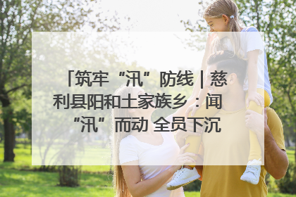 筑牢“汛”防线｜慈利县阳和土家族乡：闻“汛”而动 全员下沉筑牢防汛“安全堤”