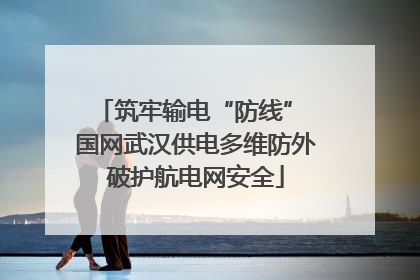 筑牢输电“防线” 国网武汉供电多维防外破护航电网安全