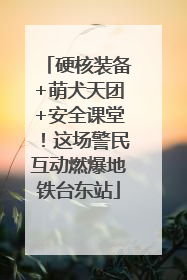硬核装备+萌犬天团+安全课堂！这场警民互动燃爆地铁台东站
