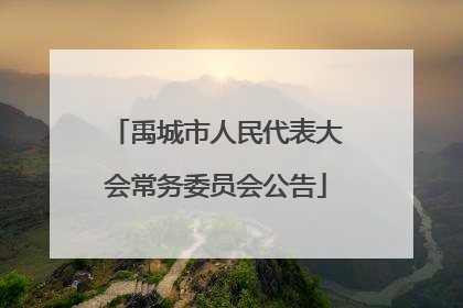 禹城市人民代表大会常务委员会公告