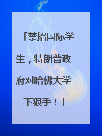 禁招国际学生，特朗普政府对哈佛大学下狠手！