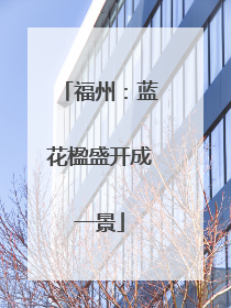 福州：蓝花楹盛开成一景