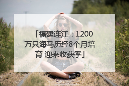 福建连江：1200万只海马历经8个月培育 迎来收获季