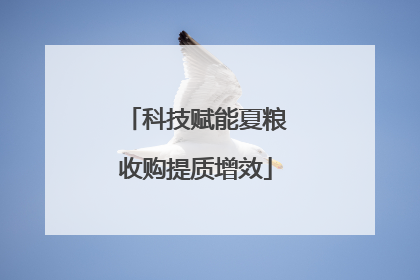 科技赋能夏粮收购提质增效