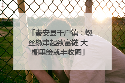 秦安县千户镇：螺丝椒串起致富链 大棚里绘就丰收图