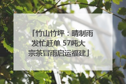 竹山竹坪：晴制雨发忙赶单 57吨大宗茶冒雨启运福建