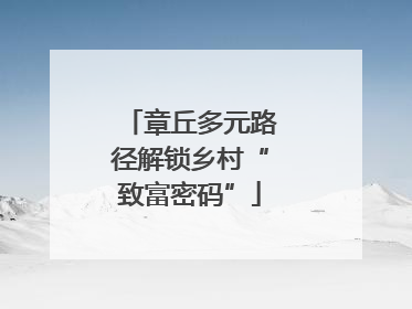 章丘多元路径解锁乡村“致富密码”