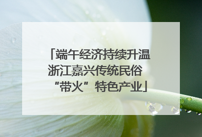 端午经济持续升温 浙江嘉兴传统民俗“带火”特色产业