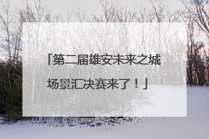 第二届雄安未来之城场景汇决赛来了！