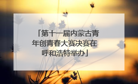 第十一届内蒙古青年创青春大赛决赛在呼和浩特举办