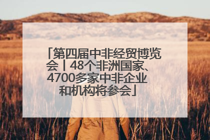 第四届中非经贸博览会丨48个非洲国家、4700多家中非企业和机构将参会