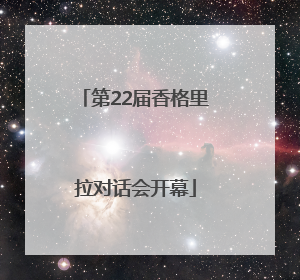 第22届香格里拉对话会开幕
