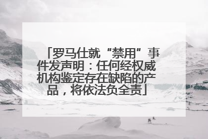 罗马仕就“禁用”事件发声明：任何经权威机构鉴定存在缺陷的产品，将依法负全责