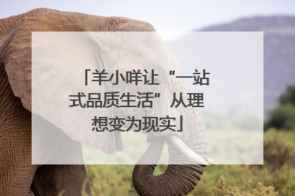 羊小咩让“一站式品质生活”从理想变为现实