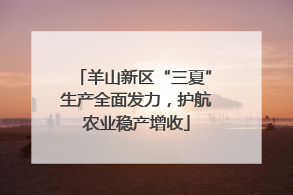 羊山新区“三夏”生产全面发力，护航农业稳产增收