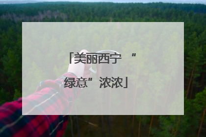 美丽西宁 “绿意”浓浓