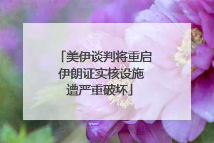美伊谈判将重启 伊朗证实核设施遭严重破坏