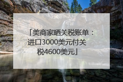 美商家晒关税账单：进口3000美元付关税4600美元