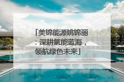 美锦能源姚锦丽：深耕氢能蓝海，领航绿色未来