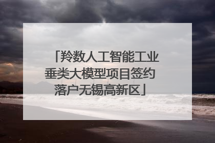 羚数人工智能工业垂类大模型项目签约落户无锡高新区