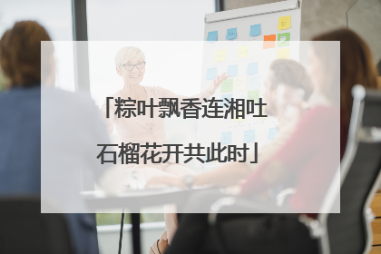 粽叶飘香连湘吐 石榴花开共此时