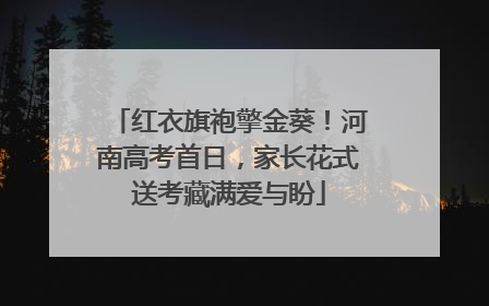 红衣旗袍擎金葵！河南高考首日，家长花式送考藏满爱与盼